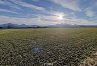 Attraktives Bauerwartungsland zur Entwicklung in Kühnsdorf – idealer Standort für Gewerbe & Investitionen