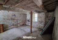 Mehrfamilienhaus mit großzügigem Grundstück und vielseitig nutzbaren Nebengebäuden in Traismauer