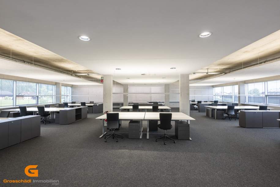 Business im Loftstyle – Büro mieten in Salzburg Süd, Gewerbeobjekt-miete, 11.020,00,€, 5081 Salzburg-Umgebung