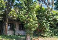 Großzügiges Baugrundstück mit Abbruchhaus und Grünlandanteil im Irenental