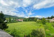 Wohnen über den Dächern von Rodaun | ZELLMANN IMMOBILIEN