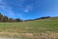 Grundstück mit Nebengebäude und Altbestand in Fötschach