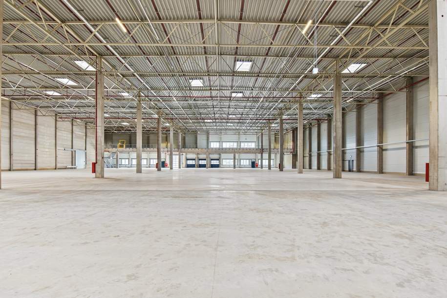 Flexible Logistik- und Lagerflächen in Kottingbrunn, Gewerbeobjekt-miete, 37.590,00,€, 2542 Baden