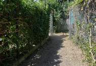 Schönes ebenes Grundstück mit 100m² verbaubarer Fläche!