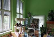 Ihr Traumhaus in Würmla - Wohnen mit Stil und Herz