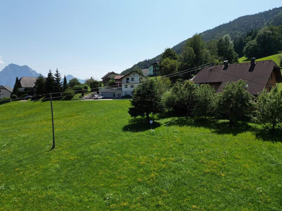 Baugrund gesamt oder geteilt!