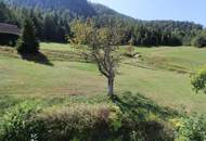 chaletartige Wohnung mit riesigem Garten, beinahe ein ganzes Haus