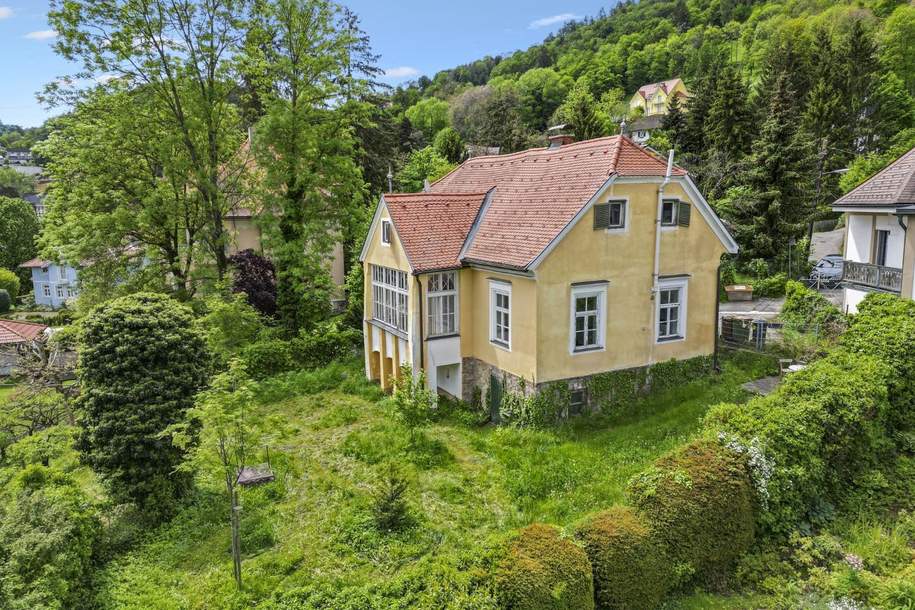 Ehemalige Villa Schreiberg mit Sanierungsbedarf, Haus-kauf, 449.000,€, 8020 Graz(Stadt)