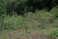 Rarität - Baugrundstück im Wald - keine Nachbarn
