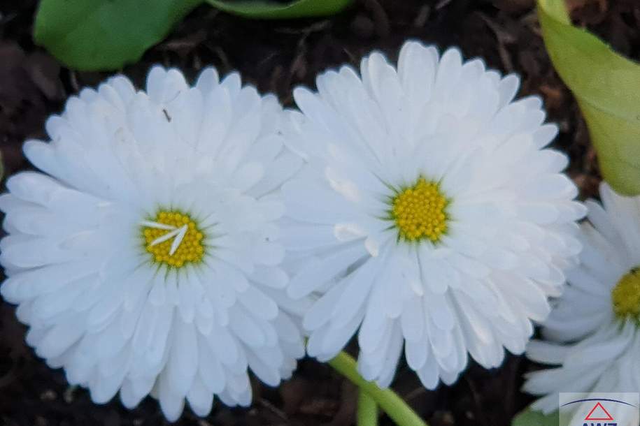 Zu vermieten: Zwei-Zimmer-Wohnung in renoviertem Altbau!, Wohnung-miete, 1.200,00,€, 1020 Wien 2., Leopoldstadt