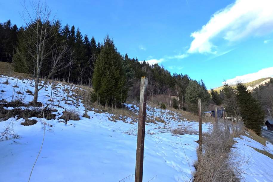 Natur, Ruhe und Aussicht – 2400 m² Baugrund am Semmering, Grund und Boden-kauf, 90.000,€, 2680 Neunkirchen