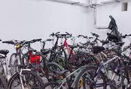 Sonnige 4 Zi Gartenwohnung in Ruhelage (S-Bahn Liesing Nähe) mit Garage