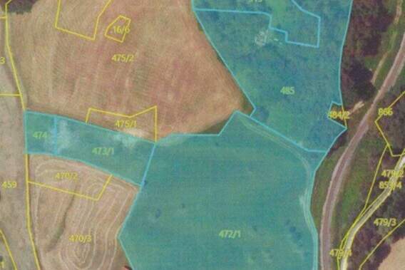 3,6 ha große landwirtschaftliche Nutzfläche in Tautendorf, Gewerbeobjekt-kauf, 118.000,€, 8362 Hartberg-Fürstenfeld