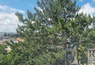 Wohnen für Kenner: Stilvolles Dachgeschoss im Botschafterviertel mit Blick über Wien Ein Rückzugsort mit Seltenheitswert