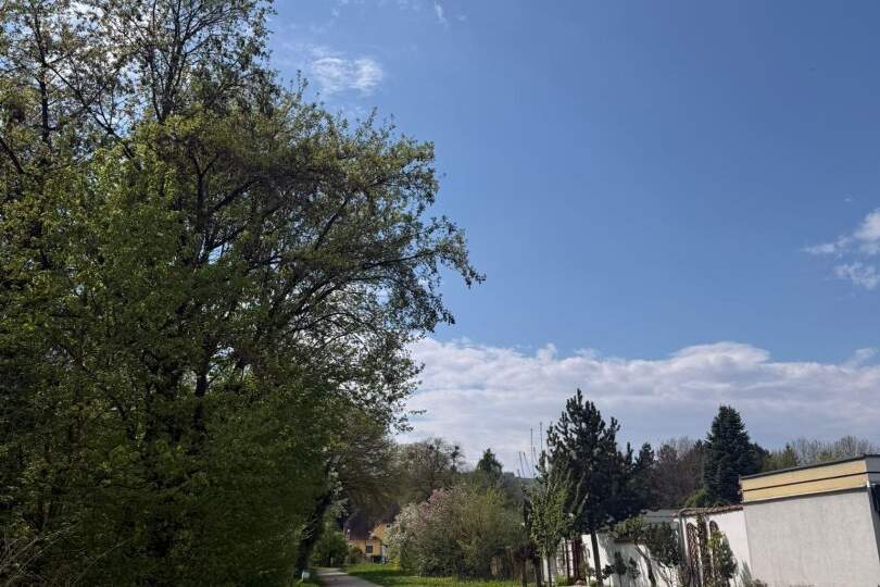 Sanierungsbedürftiges NATURIDYLL in LINZ/Puchenau (BUNGALOW IN U FORM), Haus-kauf, 450.000,€, 4048 Urfahr-Umgebung