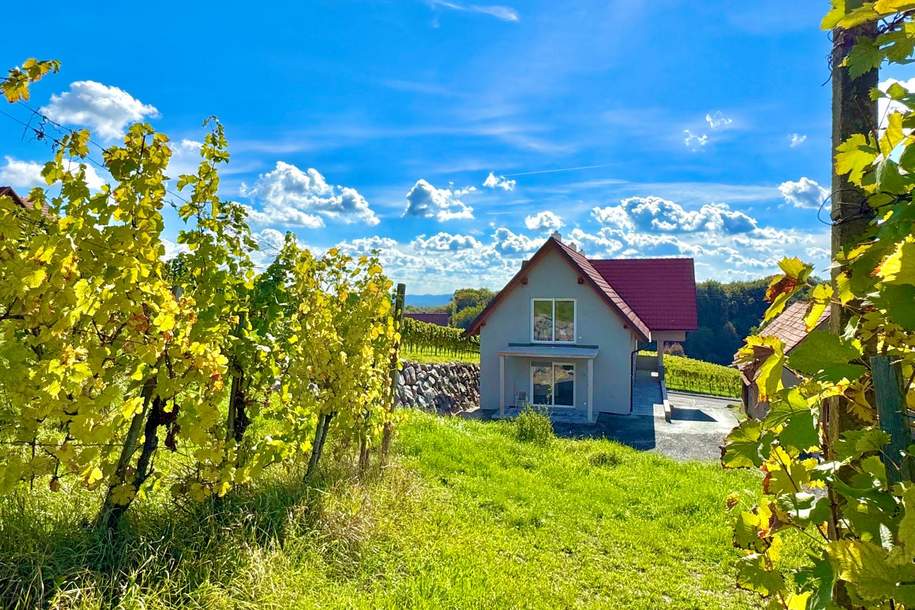 Barrierefreie 3-Zimmer Wohnung mit Terrasse inmitten der Weinberge von Klöch - Erstbezug!, Wohnung-kauf, 330.338,€, 8493 Südoststeiermark