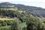 Gepflegtes Ein-/Zweifamilienhaus mit 9 Zimmern und Garage auf 805 m² Hanggrund
