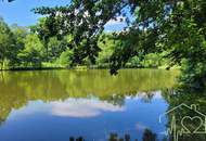 Naturparadies mit Fischteich, Fischerhütte und Wasserrechten - nahe Stadtschlaining