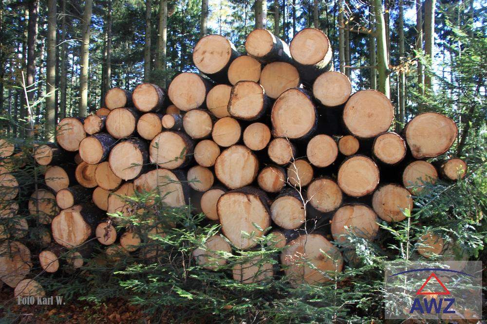 Leistbarer Mischwald zu verkaufen!