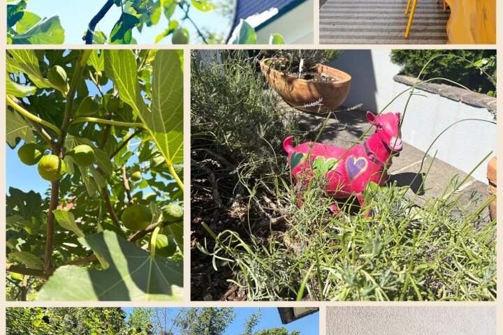 Sonnige großzügige Doppelhaushälfte - 5 Zimmer - toller Garten, Haus-kauf, 998.000,€, 2380 Mödling