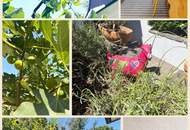 Sonnige großzügige Doppelhaushälfte - 5 Zimmer - toller Garten