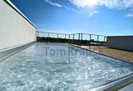 GOLDENER SCHWAN | LUXUS - LOFT- PENTHOUSE - MIT POOL - SKYLINE UND WASSERBLICK