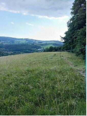 Traumhaftes Grundstück nahe Neulengbach/Altlengbach