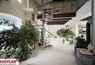 Saniertes Loft in einem historischen Gebäude