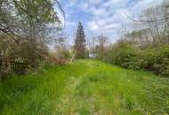 Charmantes Einfamilienhaus in ruhiger Ortsrandlage