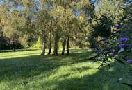 Gartenwohnung 7 Zimmer mit Pool im Apfelgarten - - 5 bedroom apartment 15 km from Vienna