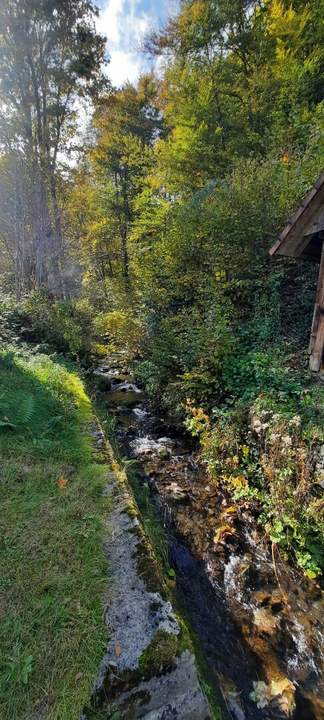 Für Naturliebhaber und Heimwerker- sanierungsbedürftiges Bauernhaus mit Nebengebäuden - zwischen Hermagor und Villach