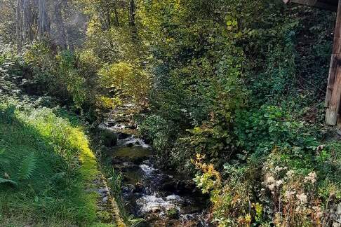 Für Naturliebhaber und Heimwerker- sanierungsbedürftiges Bauernhaus mit Nebengebäuden - zwischen Hermagor und Villach, Haus-kauf, 180.000,€, 9613 Villach Land