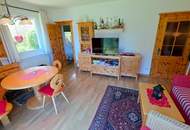 Idyllische Ferienwohnung mit direktem Pistenzugang in Bad Kleinkirchheim