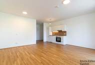 Charmante 1-Zimmer-Wohnung mit großzügiger Terrasse nahe Hummelhofwald in Linz zu vermieten!