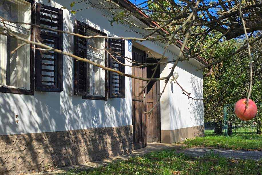 NEUER PREIS!!! Rarität "Vierkanter" direkt neben dem Golfplatz Burgauberg-Neudauberg, Haus-kauf, 199.000,€, 7574 Güssing
