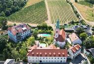Eingebettet zwischen den „Weinbergen“ und „Donau“ – sofort beziehbar inkl. Küche in charmanten „Freihof“ - JETZT ANFRAGEN
