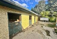 Reiterparadies im Weinviertel – Ihr Traum vom Landleben!