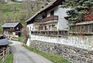 Gepflegtes Haus in idyllischer Lage. Garage und eigene Sauna. Trebesing-Neuschitz.