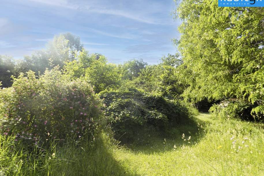 Baugrundstück für ein Doppelhaus Nähe S-Bahn Silberwald, Grund und Boden-kauf, 340.000,€, 2231 Gänserndorf