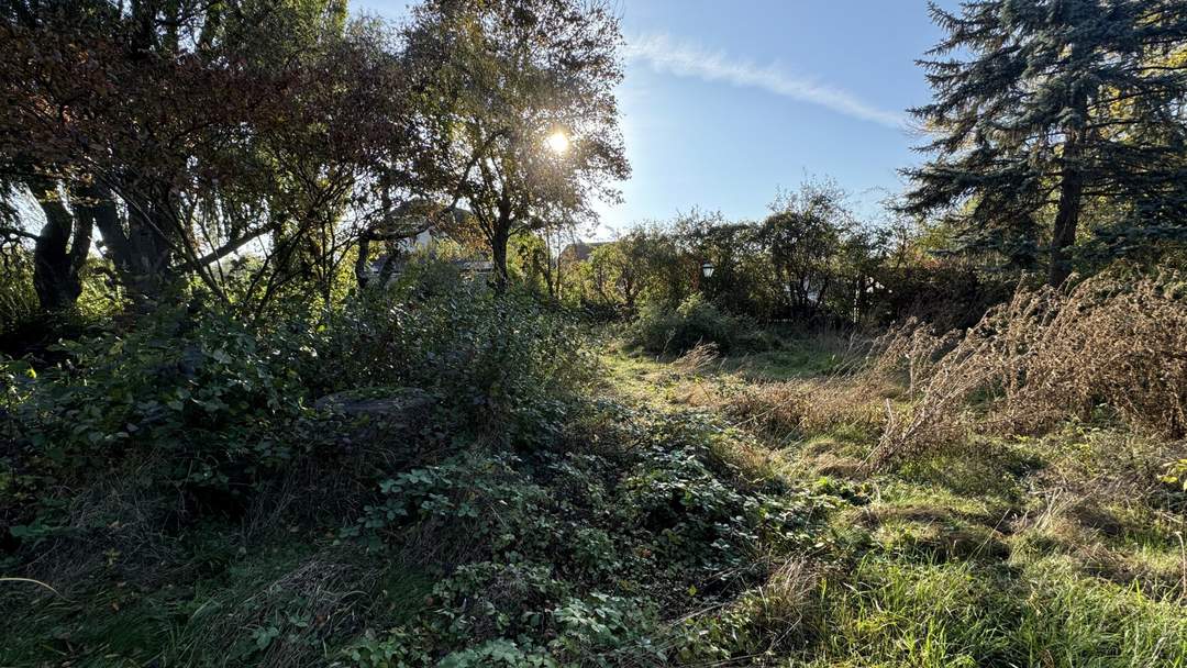 Tolles Grundstück in Biedermannsdorf