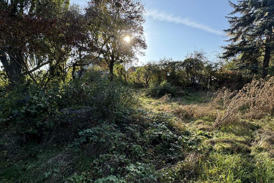 Tolles Grundstück in Biedermannsdorf, Grund und Boden-kauf, 410.000,€, 2362 Mödling