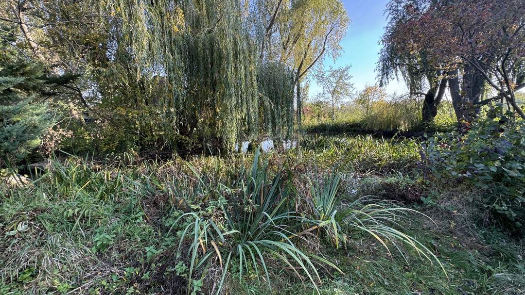 Tolles Grundstück in Biedermannsdorf