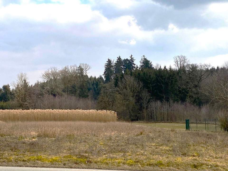 Großer Baugrund in schöner Lage Nähe Ortsbereich