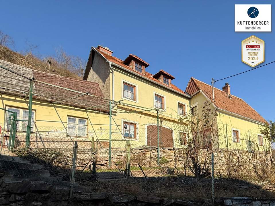 Ehemaliges Winzerhaus mit Weingarten und Donaublick