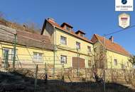 Ehemaliges Winzerhaus mit Weingarten und Donaublick