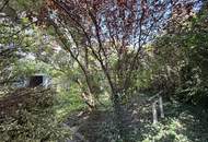 Traumhafte Lage, auf Eigengrund und unmittelbarer Nähe zum Donaupark/ Alte Donau - Bruckhaufen