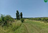 Uriges Unikat - Presshaus mit Weinkeller unweit von Krems