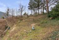 Wohnhaus mit drei Wohneinheiten!