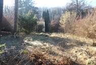 "Rarität in Mauerbach"