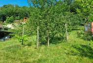 AN DER SONNENSEITE AM WALDRAND!